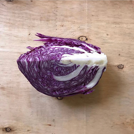 Rotkohl