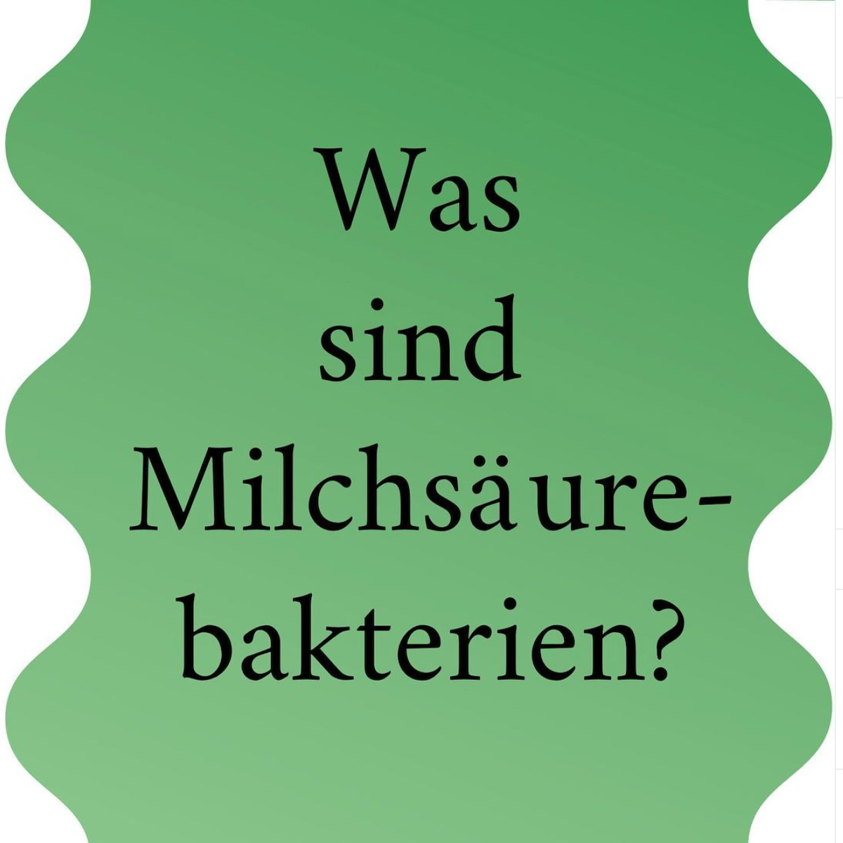 Lacto Acid Bacteria